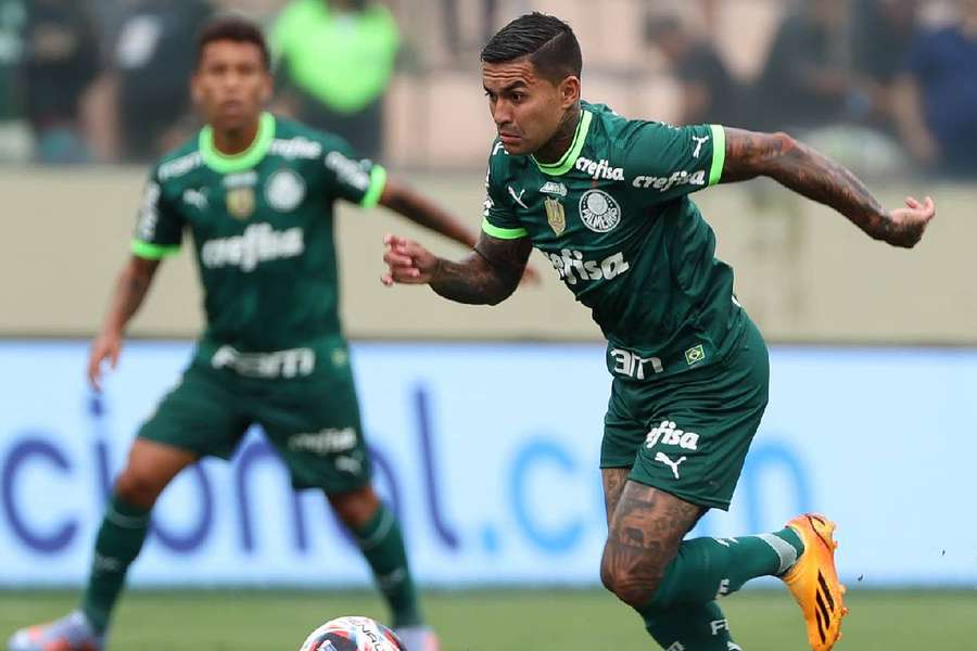 Palmeiras é um dos fortes candidatos a derrubar o Flamengo