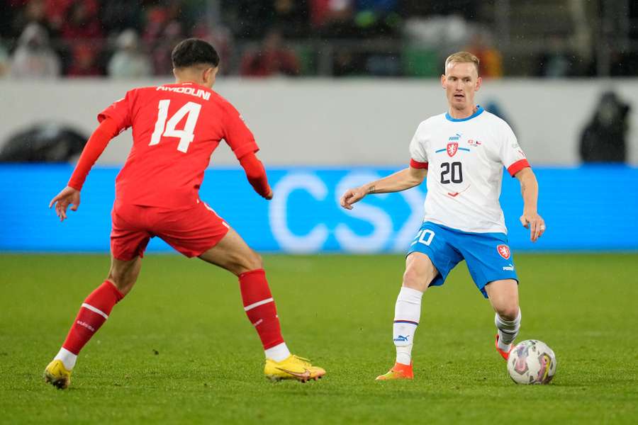 Sevcik (pictured with the ball) has 15 international appearances to his name