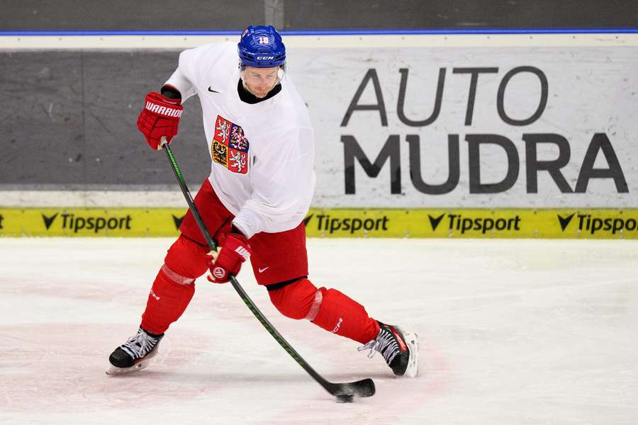 Roman Červenka bude na ZOH kapitánem reprezentace.