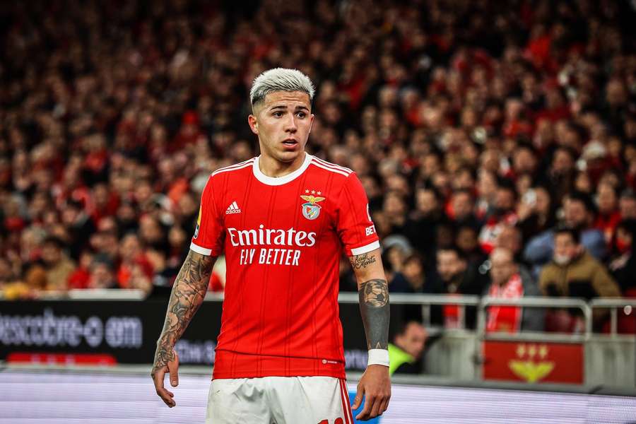 Enzo Fernandez is one of Benfica's biggest recent sales