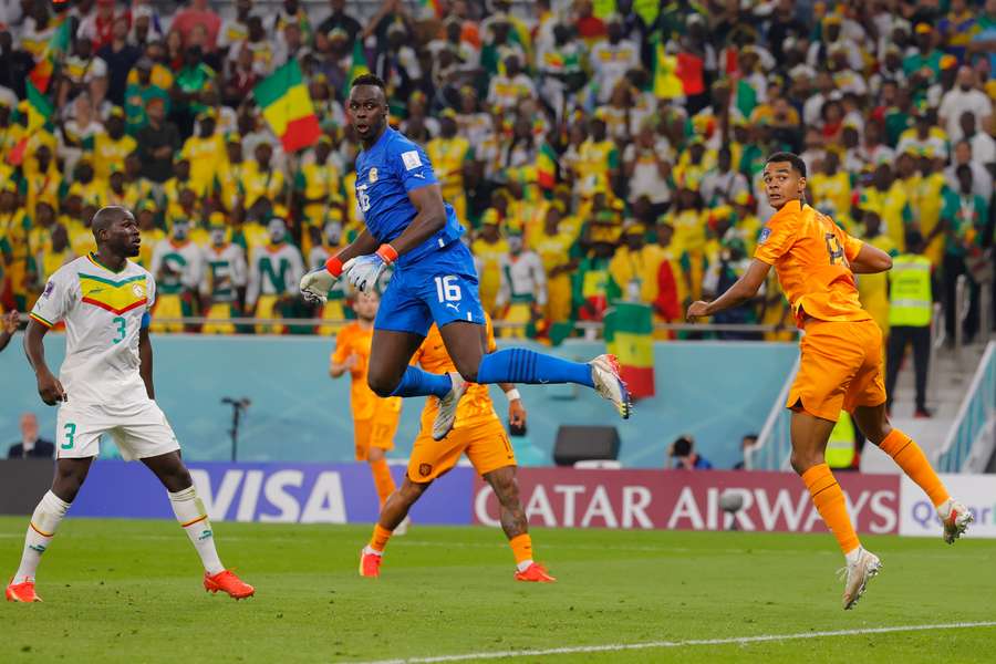 Coppa del Mondo, l'Olanda si impone nel finale sul Senegal