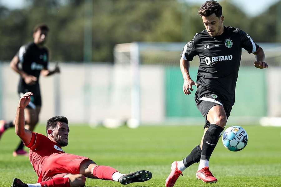 Pedro Gonçalves, médio do Sporting