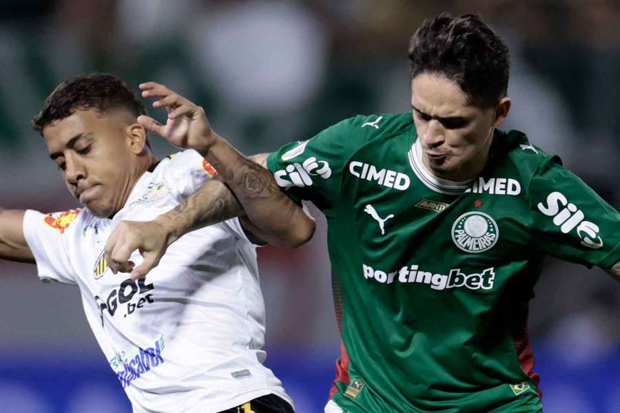 Novorizontino recebe Verdão na finalíssima do Paulista