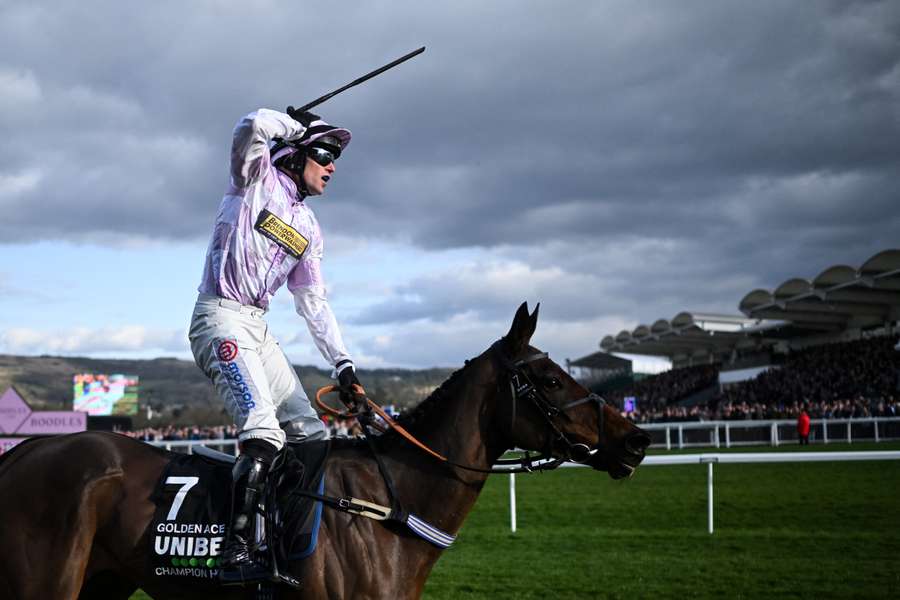 Lorcan Williams celebrates as he and Golden Ace landed a shock win in the Champion Hurdle which saw the two highly-fancied previous winners fall