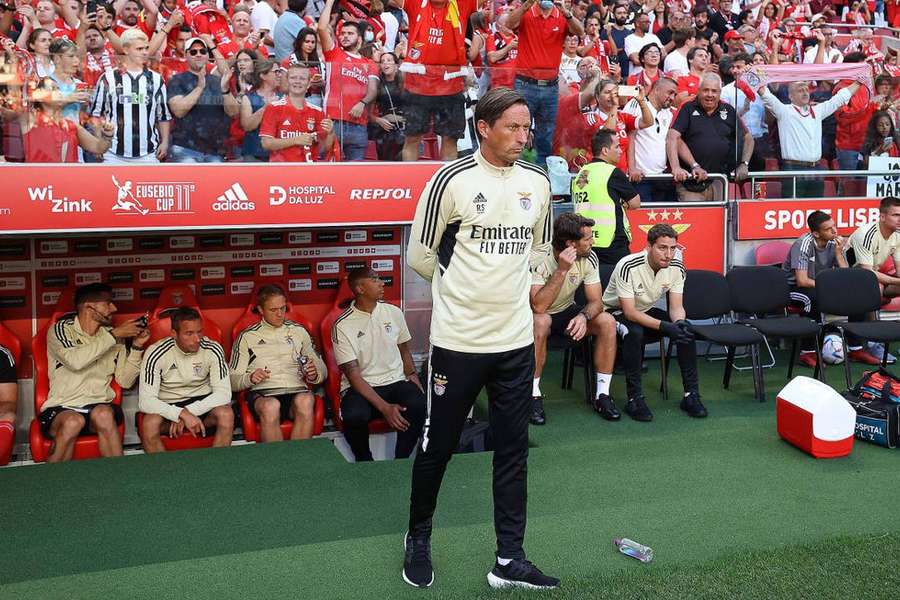 Roger Schmidt no banco do Benfica