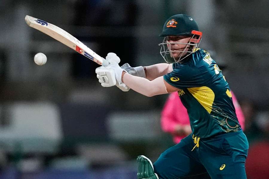 Warner in action at the 2024 T20 World Cup