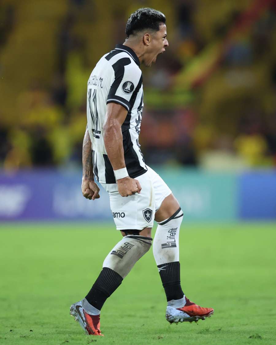Matheus Martins foi o destaque do Botafogo na partida Matheus Martins foi o destaque do Botafogo na partida
