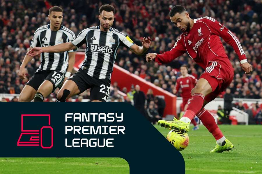 Could Cody Gakpo be a good pick for this weekend's fixtures? Could Cody Gakpo be a good pick for this weekend's fixtures?