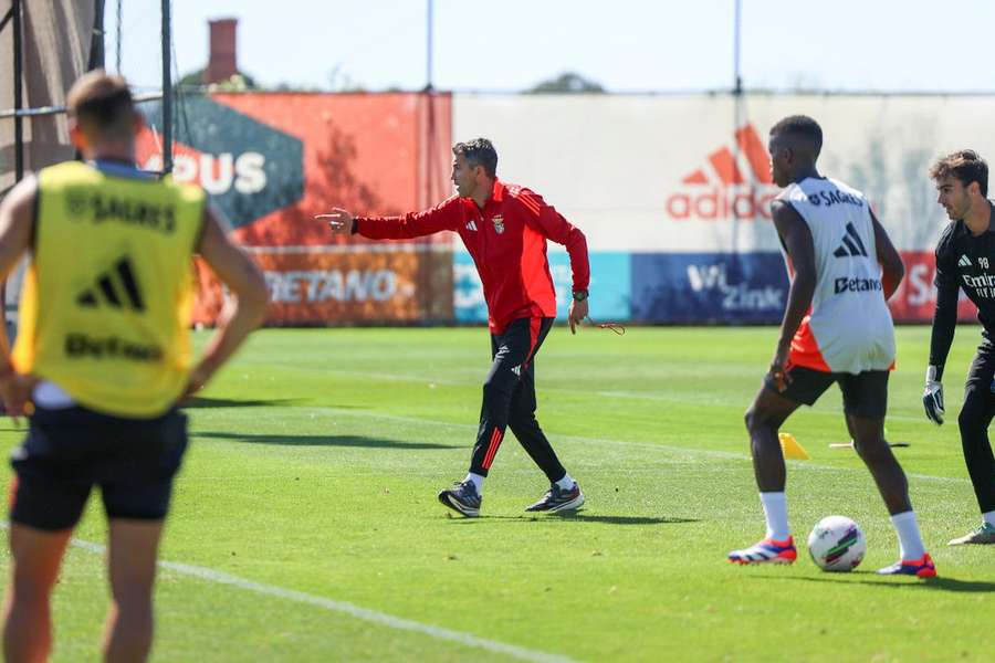 Benfica prepara visita ao Estrela Vermelha com três baixas