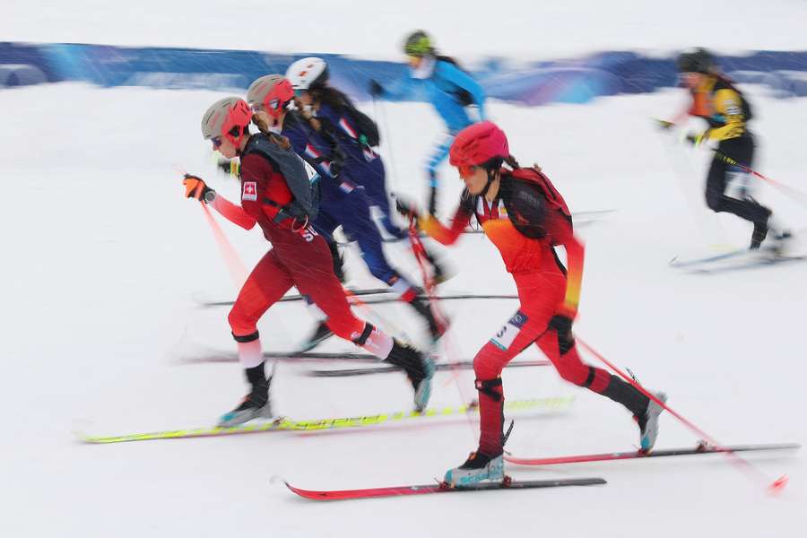 Nur Blech für Palller