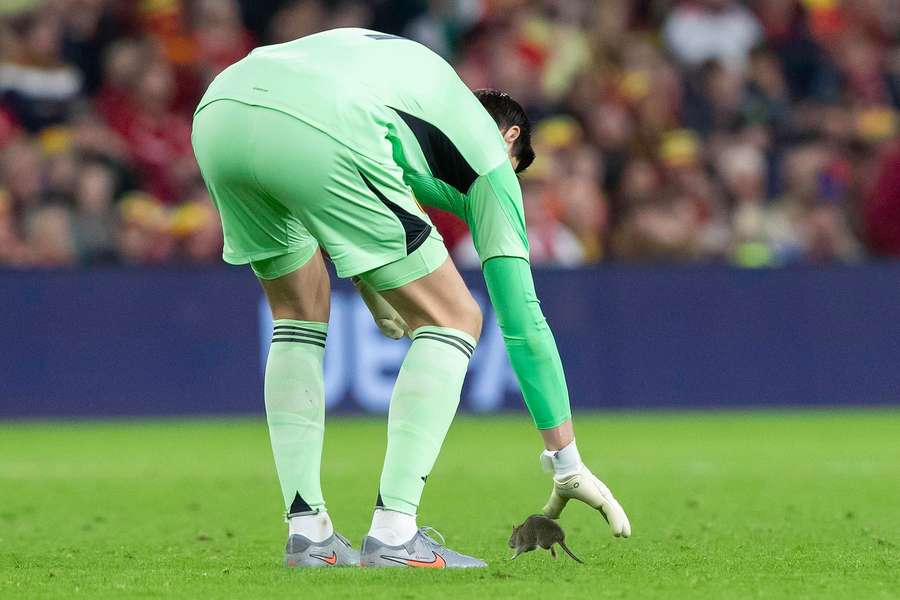 Thibaut Courtois auf Rattenjagd.