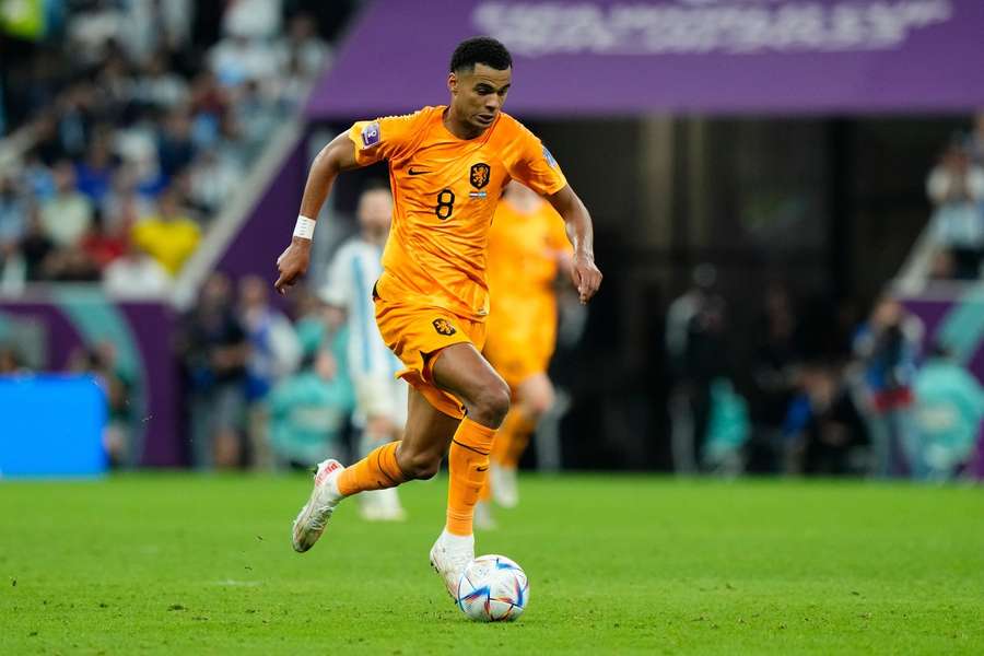 Cody Gakpo shone for the Netherlands at the recent World Cup