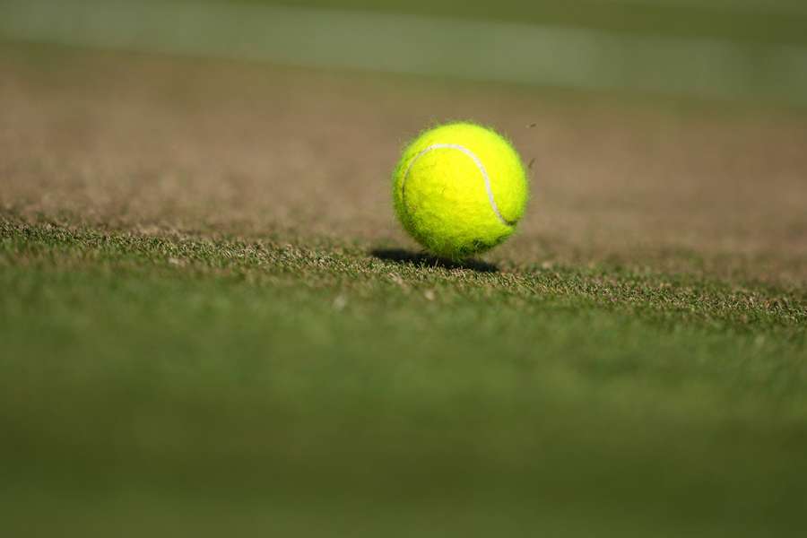 Tenis Flash: Dziś poznamy finalistki Wimbledonu. Będzie czeski mecz o tytuł? Tenis Flash: Dziś poznamy finalistki Wimbledonu. Będzie czeski mecz o tytuł?