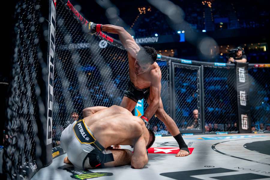 Posledné momenty pred korunováciou nového kráľa bantamu.