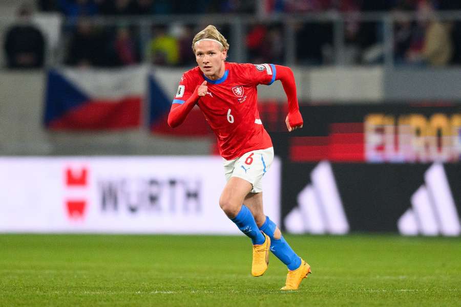 Rána pro Lvíčata. Šín se před Eurem zranil a turnaj na Slovensku si nezahraje