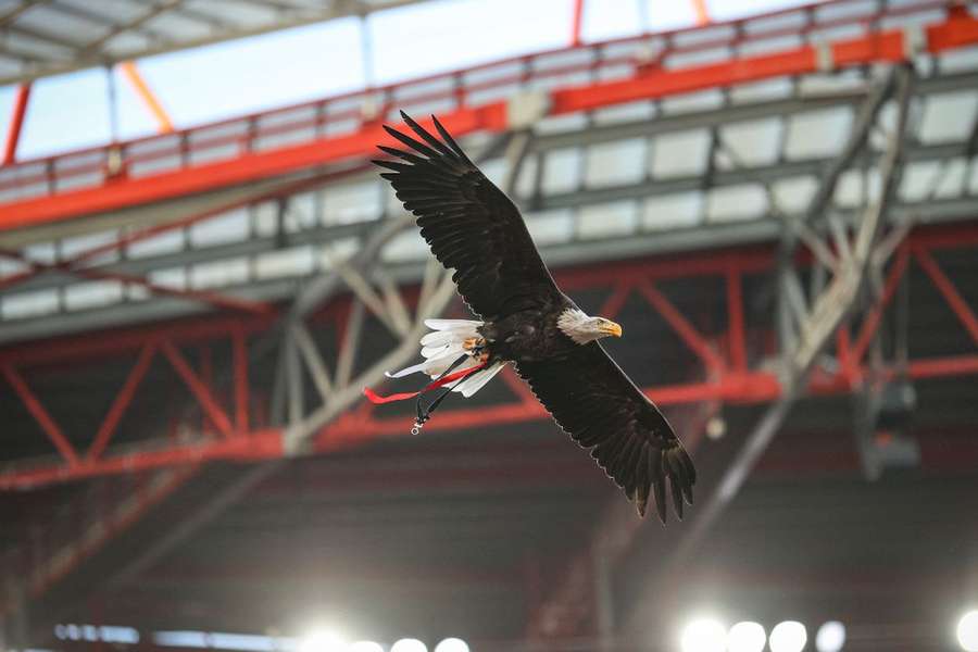 Ações da Benfica SAD atingiram valor mais alto desde janeiro de 2022