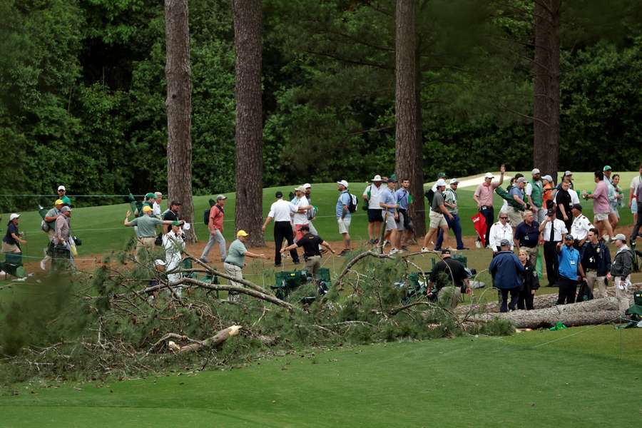 Det var tæt ved 17. huls tee, at der fredag væltede to fyrretræer ved US Masters.