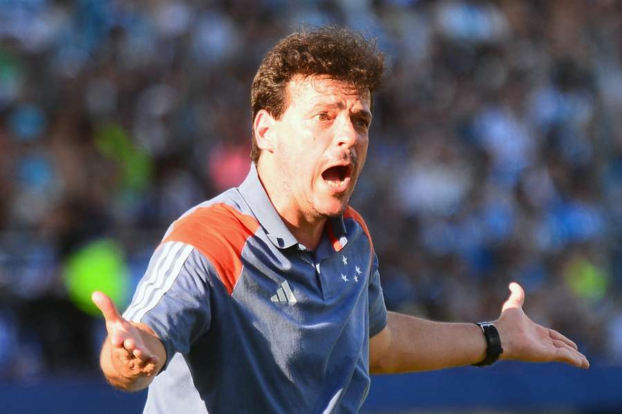 Fernando Diniz