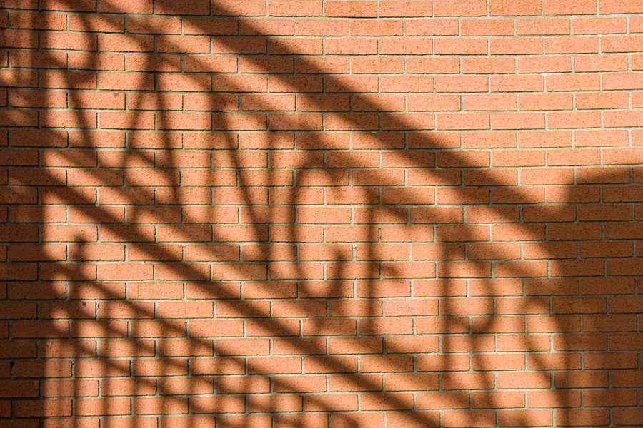 Rangers lamenta morte de adepto no Porto devido a "causas naturais" Rangers lamenta morte de adepto no Porto devido a "causas naturais"