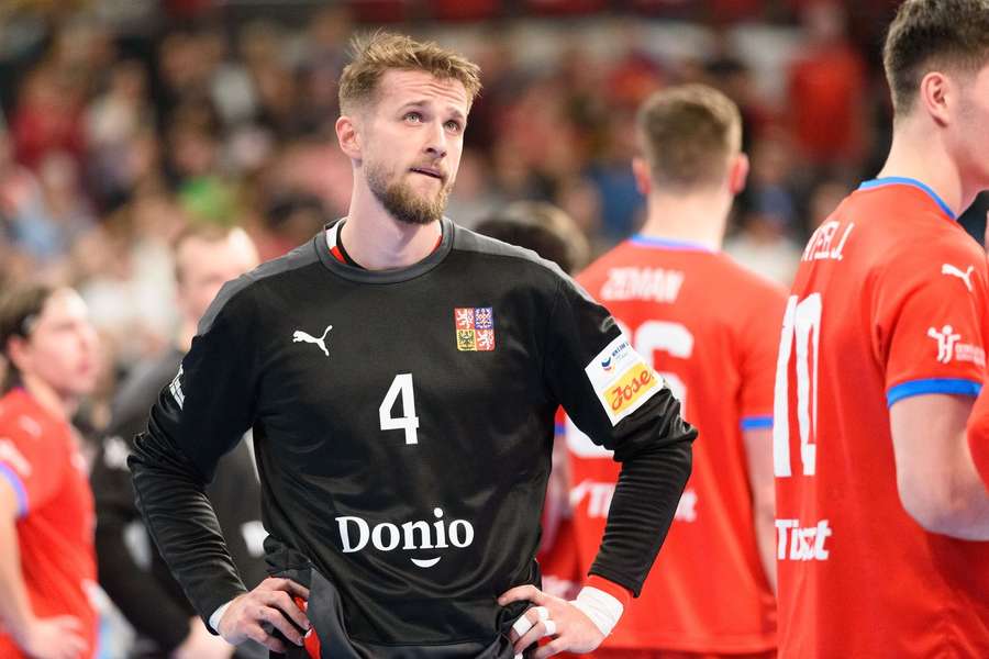 Hrdlička se v bráně snažil. (archivní foto)