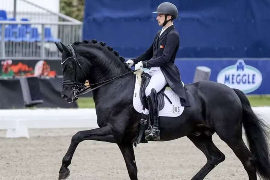 Cavaleiro português em prova de dressage