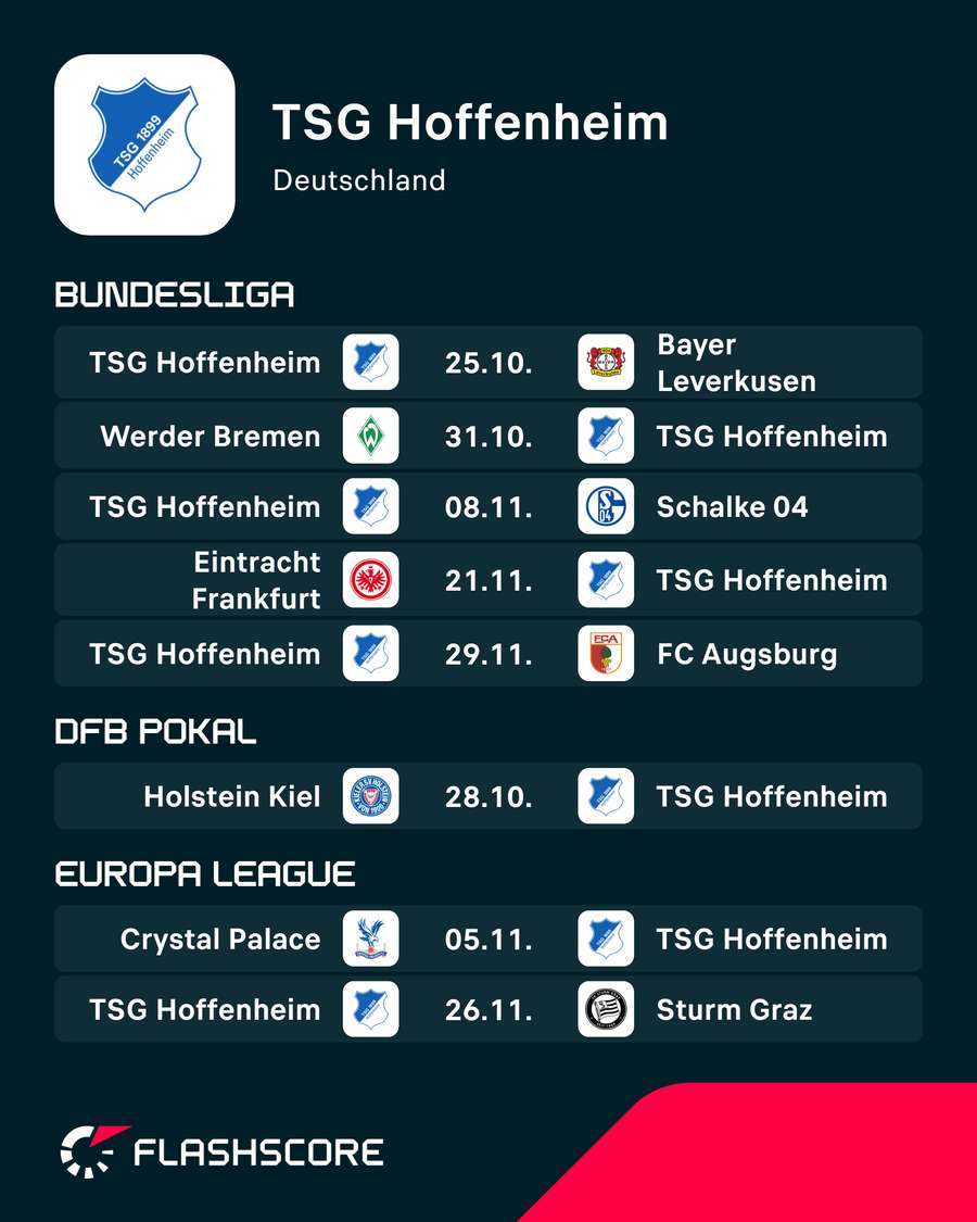 Die nächsten Spiele der Sinsheimer Die nächsten Spiele der Sinsheimer