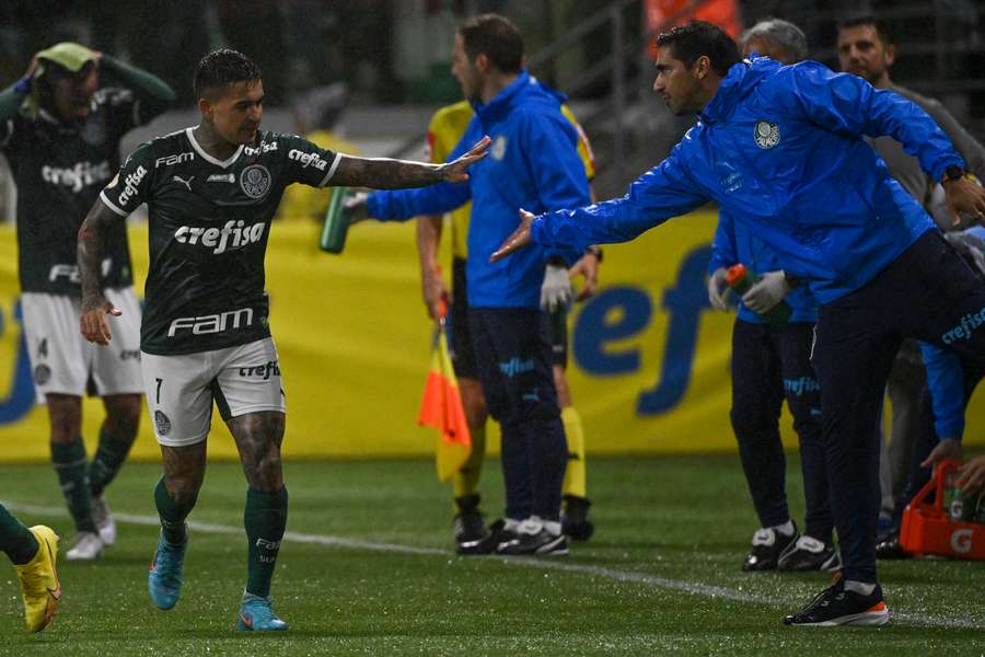 Abel Ferreira deixou rasgados elogios ao plantel do Palmeiras pelo trabalho realizado