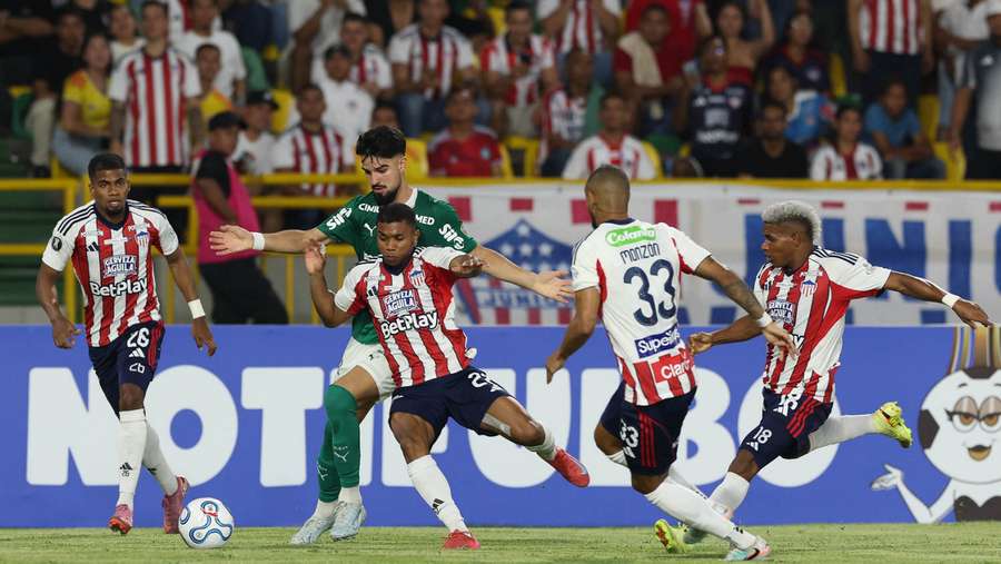 Palmeiras segue sem saber o que é perder para o Junior-COL