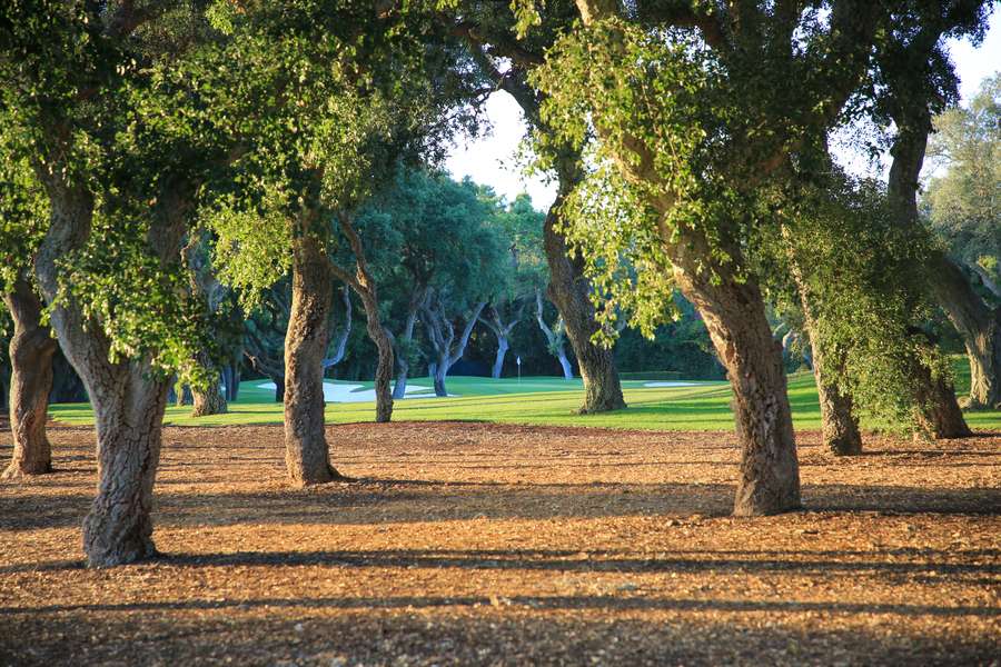 El Real Club de Golf Valderrama estrena lago junto al hoyo 11 para el Andalucía Masters