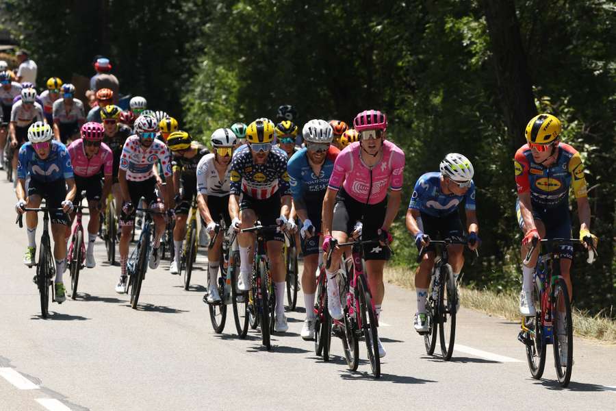 Le peloton ce vendredi. Le peloton ce vendredi.