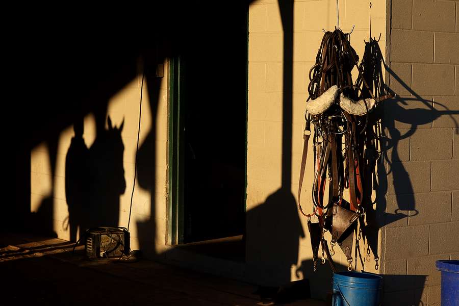 Tack hangs on the wall at Churchill Downs