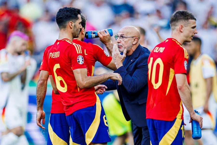 Luis de la Fuente, seleccionador español