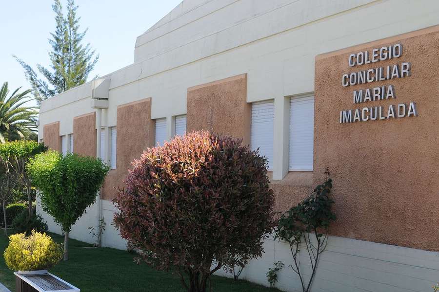 A diretora e um professor foram acusados pelo Ministério Público do crime de homicídio por negligência na sequência da morte de um aluno A diretora e um professor foram acusados pelo Ministério Público do crime de homicídio por negligência na sequência da morte de um aluno