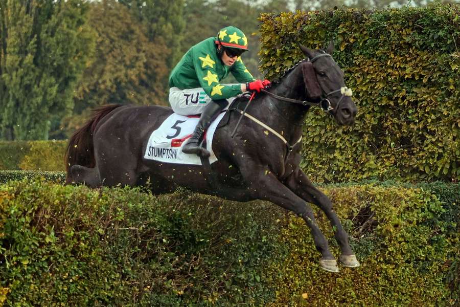 Hnědák Stumptown jako první zahraniční kůň po 30 letech vyhrál Vekou pardubickou.