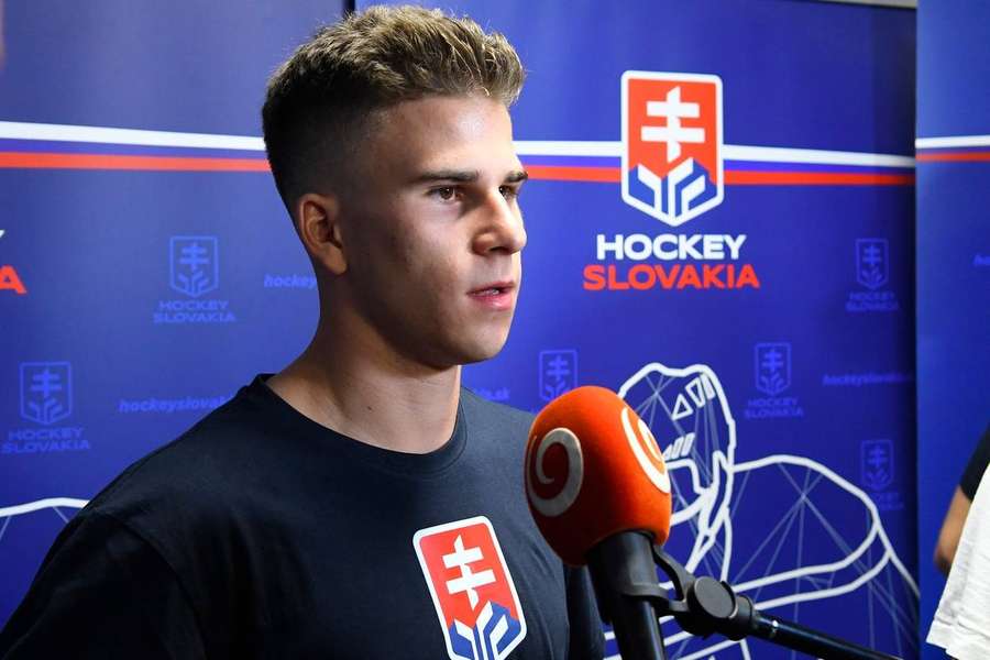 Slovensko môže počítať so službami dvoch hráčov zo zámoria.