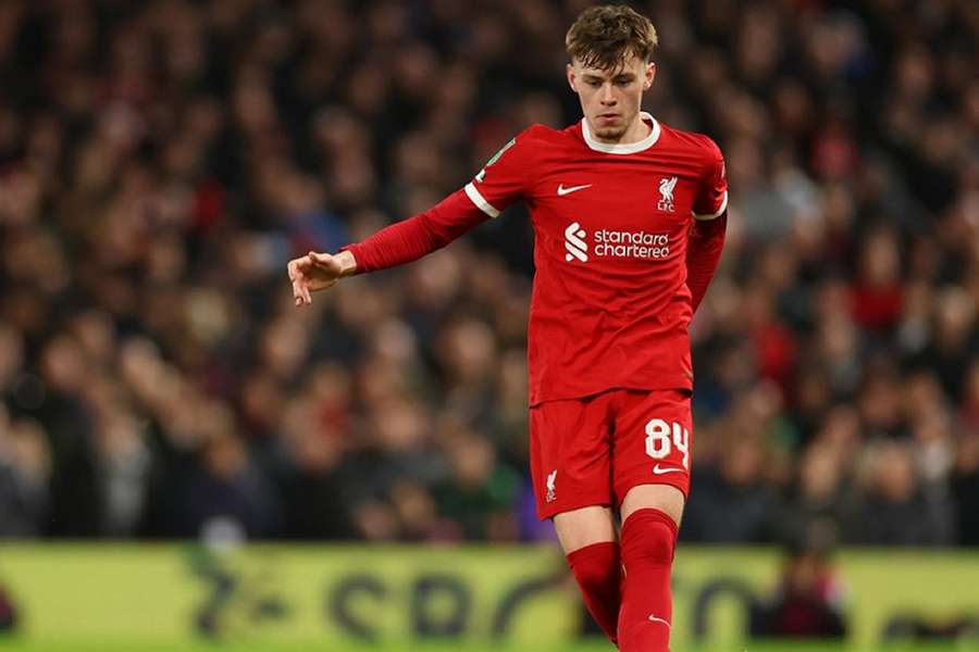 Liverpool celebrate Cody Gakpo's goal