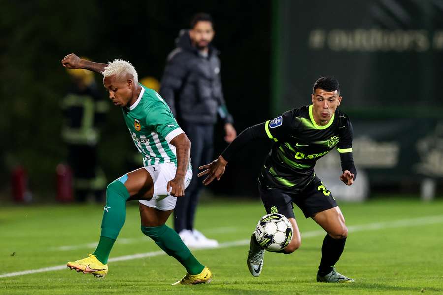 Leões ficam perto da próxima fase da competição