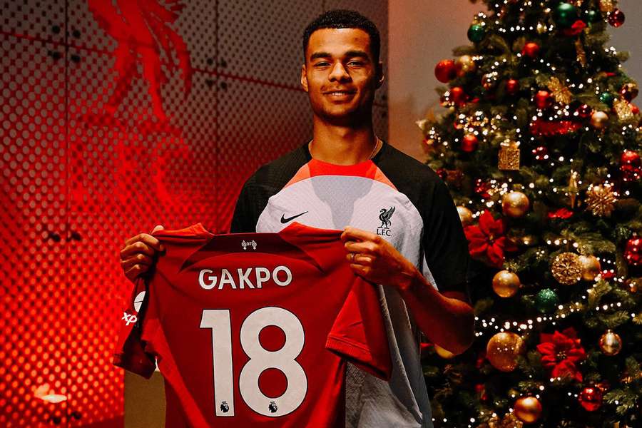 Gakpo revela que Van Dijk foi vital para seu acerto com o Liverpool