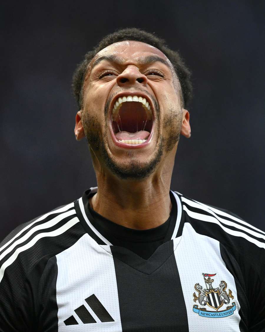 O atual emblema do Newcastle leva o brasão de armas da cidade O atual emblema do Newcastle leva o brasão de armas da cidade