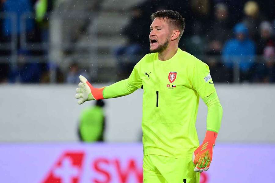 Bývalý brankář české reprezentace Tomáš Vaclík.