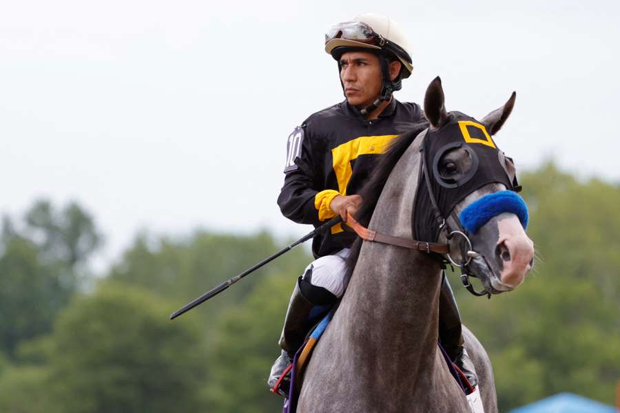 Napoleon Solo and jockey Paco Lopez at the 2026 Preakness Napoleon Solo and jockey Paco Lopez at the 2026 Preakness