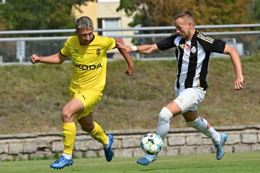 Budoucnost Dynama České Budějovice růžově nevypadá. Budoucnost Dynama České Budějovice růžově nevypadá.