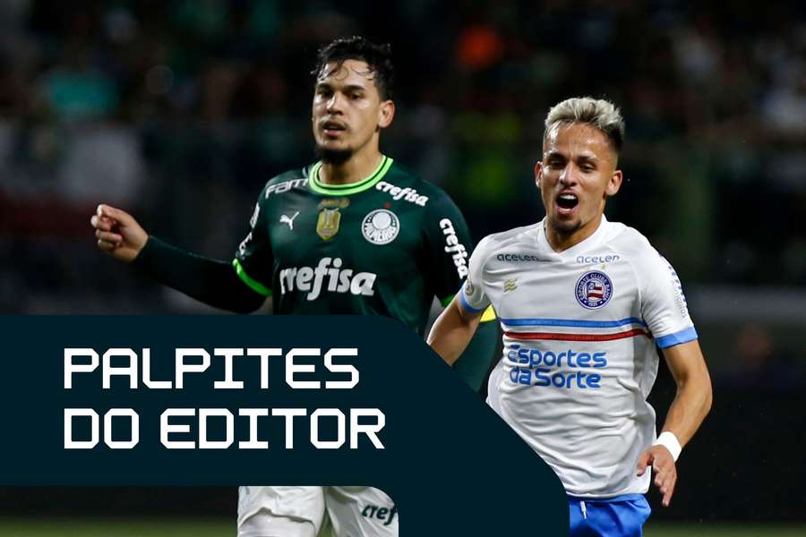 Palmeiras e Bahia fazem um dos grandes jogos da 15ª rodada