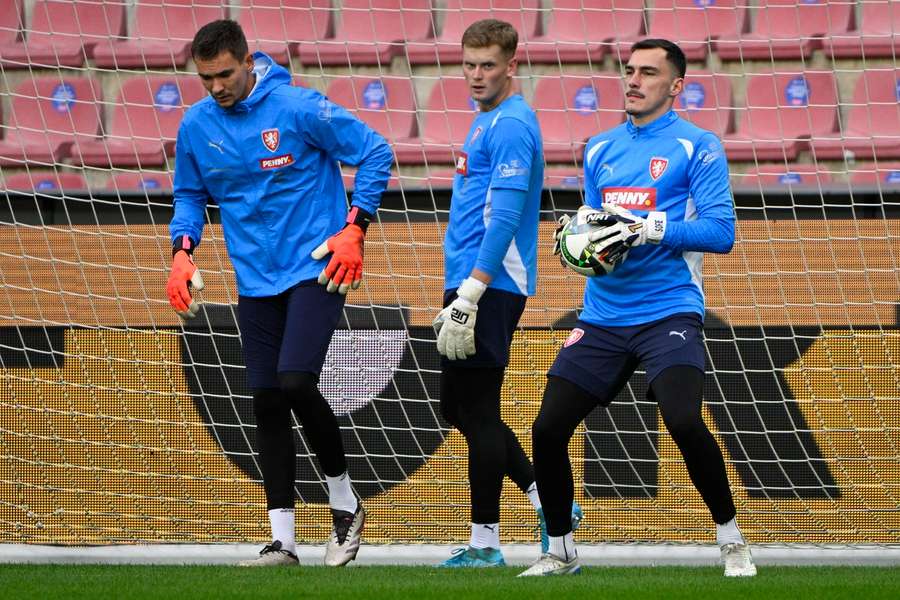 Kdo bude jedničkou proti Albánii? Trenér Hašek má na výběr ze tří kvalitních brankářů