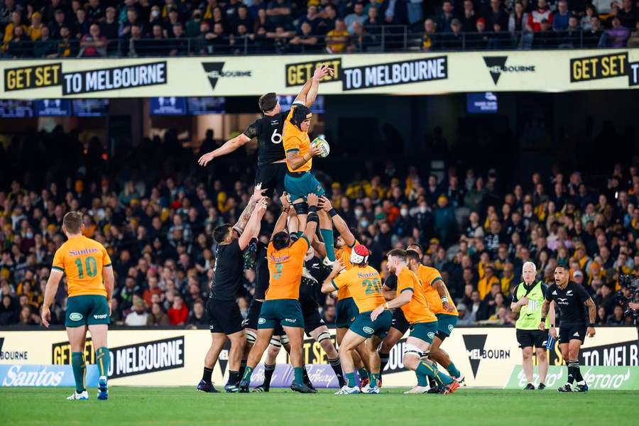 Australia were narrowly beaten last week by the All Blacks in Melbourne