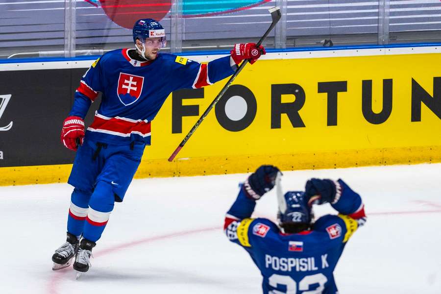 Gernát aktuálně hraje za Jaroslavl. Gernát aktuálně hraje za Jaroslavl.