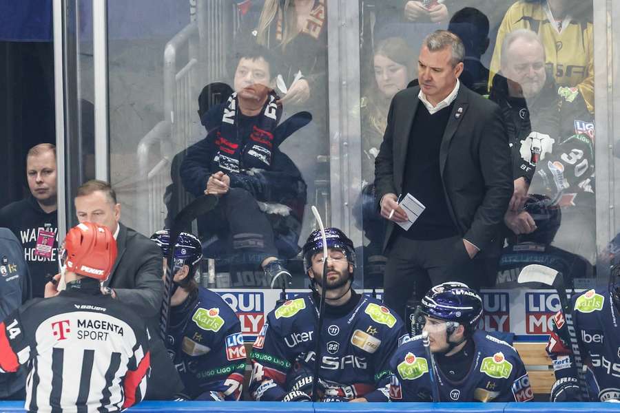 DEL: Die Eisbären um Headcoach Serge Aubin müssen in den Playoffs gegen Straubing nochmal zittern.