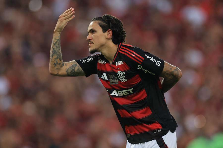 El Flamengo domina en el Brasileirao.