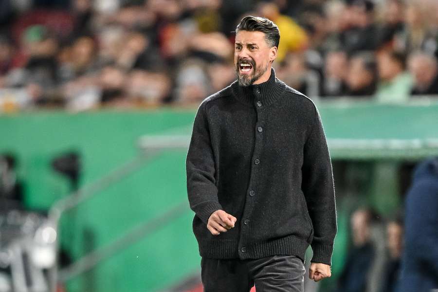 Sandro Wagner Sandro Wagner