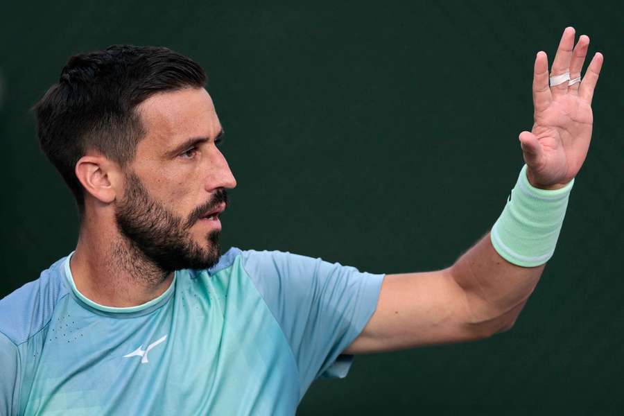 Damir Dzumhur este ultimul sosit pe lista semifinaliștilor